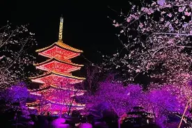 早安武汉｜武汉景区门票免费送！预约时间→图片