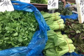 咬一口春天⑥｜吃过青菜苔、红菜苔，可以直接生吃的油菜苔吃过吗？图片