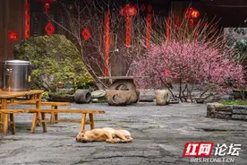 诗意的栖居，湘西边远山区的农民做到了图片