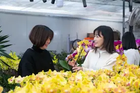 没想到，你是这样的百花村图片