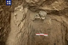 山西朔州后寨墓地东周时期墓葬发掘资料公布图片