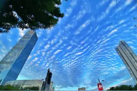 最新补贴政策发布！沈阳本月施行！图片