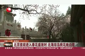 北京提前进入春花盛放时 北海琼岛桃花映白塔视频封面