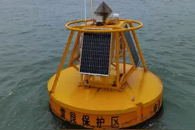 实时识别“美人鱼”发声，这一监测系统研制成功图片