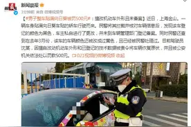 男子整车贴满向日葵被罚500元：擅改机动车外形且未备案图片