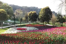 春色惹人醉!荆州区发布14个乡村旅游景点图片