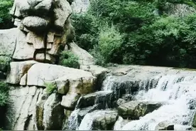 在森林公园，遇见岛城春色图片