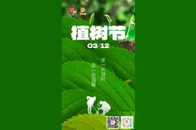 多一片绿叶，多一片温馨，让我们去栽下一棵树吧！图片