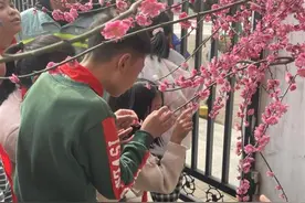 武汉这所小学的师生在公园里上语文课，讲述孩子们眼中的春天图片