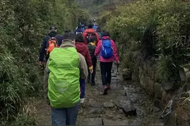 上海周边短途游预订火热，小众景点受青睐图片