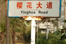 武大赏樱开放预约！这份地铁出行攻略收好！图片