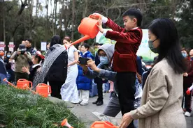 成都市内最老银杏树下来了一群小可爱图片