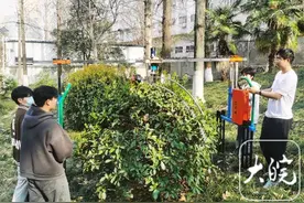 仅1分钟被修剪“圆溜溜”！安徽一高校学子自制绿植修剪机图片