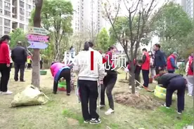 废旧轮胎变废为宝，武汉跃进社区居民打造“网红微花园”图片