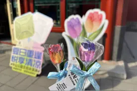 京城最美赏花季来临！公园文创“春意”浓，看看有啥稀罕物图片