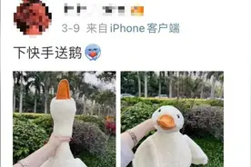 新风险！上海街头流行“抱大鹅”，为了它人们纷纷交出手机？当心大大增加被诈骗概率→图片