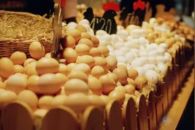 真的好奇，鸡蛋一天最多让吃几个图片