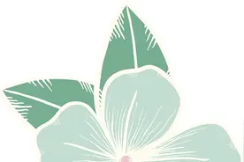 每一口都是春天的滋味！这些大自然馈赠的美食，确定不尝一尝？图片