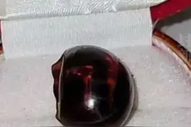 女子保存20年的煮鸡蛋变成“红宝石”，专家回应来了!图片