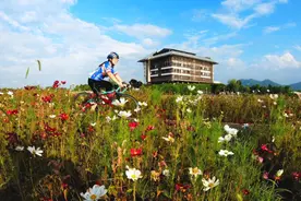 亚洲最适合骑行的城市，为何独选杭州图片