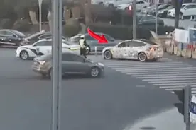 车身贴满向日葵？上海一男子被罚500元，民警：已不是初犯！图片