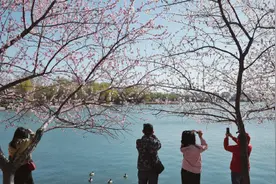 玉渊潭公园春季花卉联展3月18日开启，游客须提前预约图片