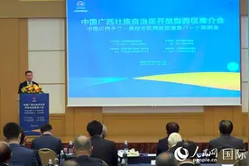 广西壮族自治区开放型园区推介会在东京举行 携手日企共商RCEP新机遇图片