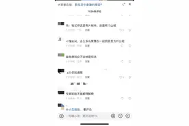 合肥网友拍摄到大量飞鸟聚集盘旋场景，引发热议 专家：非天气异象图片