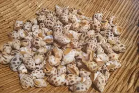 海南陵水知名海鲜市场公平秤被指缺斤少两，监管部门初步调查后称秤无问题图片