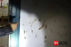 自己门前墙上被涂抹粪便？民警调查竟是“熊孩子”玩的泥巴图片