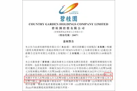 房企动向丨碧桂园上市16年归母净利润首次转负 行业销冠能否蝉联？图片