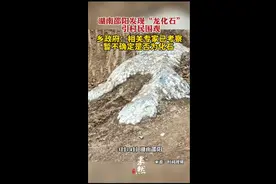 湖南邵阳发现“龙化石”，引村民围观图片