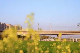 杭州又一趟“开往春天的列车”火出圈图片