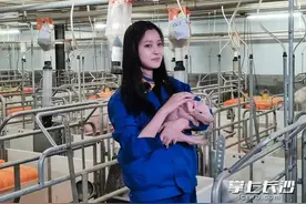 长沙这个妹子火了！“高颜值”“大学生”“95后”，养猪！图片