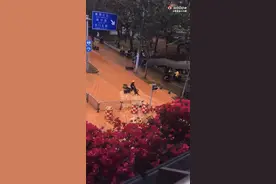 深圳一街道水管爆裂  预计下午恢复正常图片