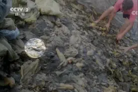 央视3·15晚会3年曝光60多家企业，后续如何？超过40%有行政处罚记录图片