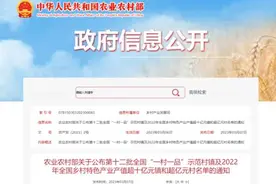 7个超十亿元镇、12个超亿元村，广西这些最富村镇在哪里？图片