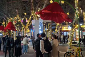 C视频|玉林西路“开花路灯” 浪漫了春天的夜晚图片