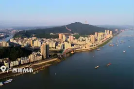 鲜得掉眉毛的待客“宝贝”，就是这种沙滩里长出来的虫子图片