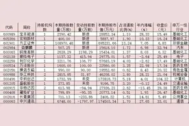 最新社保基金持仓曝光：新进增持10家公司 这些股票被连续五个季度持有图片