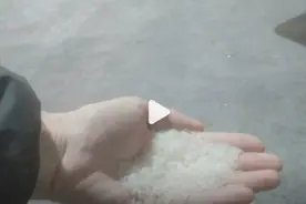 3·15曝光台｜又见香精大米！泰国香米竟是香精勾兑的图片