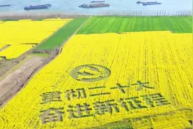 江陵县一乡村的花海中“长出”汉字图片