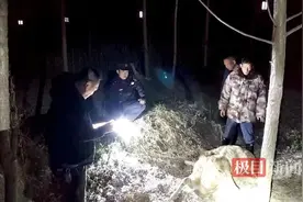 怀孕野生麋鹿被困农田，警民合力成功解救图片