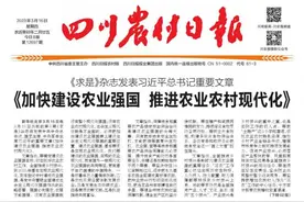 梨花开 授粉忙图片