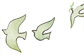 福州初中生发现豹猫踪迹，成长的过程中他究竟做了什么？图片