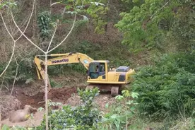 野生亚洲象坠坑，岸上大象用鼻子卷，用脚蹬土，急地转来转去……图片