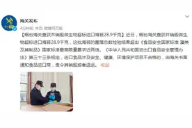 烟台海关查获并销毁微生物超标进口海苔28.9千克图片