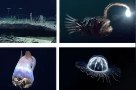 海底声学探测——拨开深海之下的迷雾图片