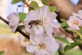 玉溪《滇中诗联》2023年作品赏析（第五期）图片