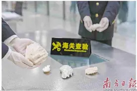 宝安机场海关查获砗磲和石珊瑚制品5件图片